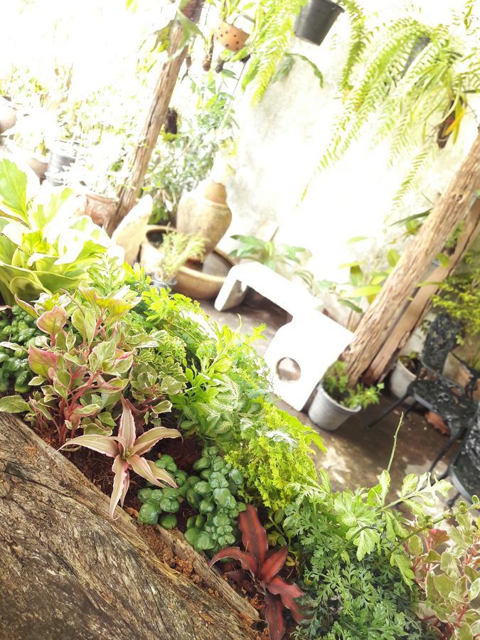 Muang Khon Guest House ناخون سي ثامارات المظهر الخارجي الصورة